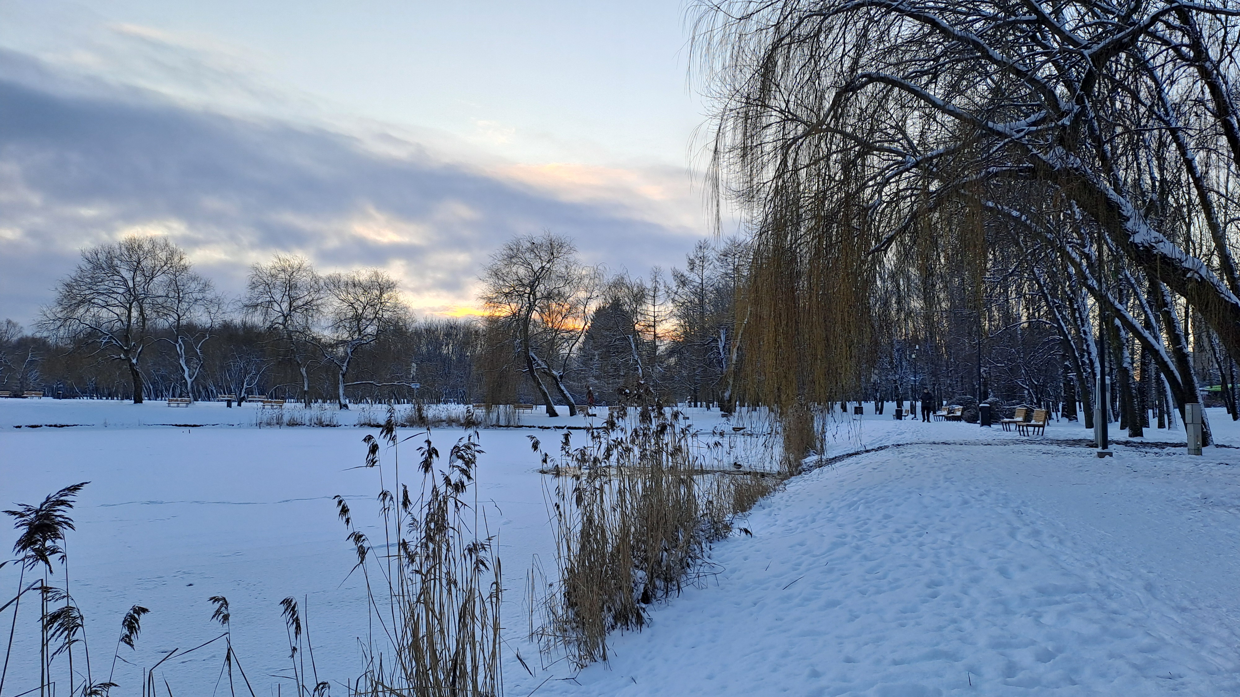 Park landscape